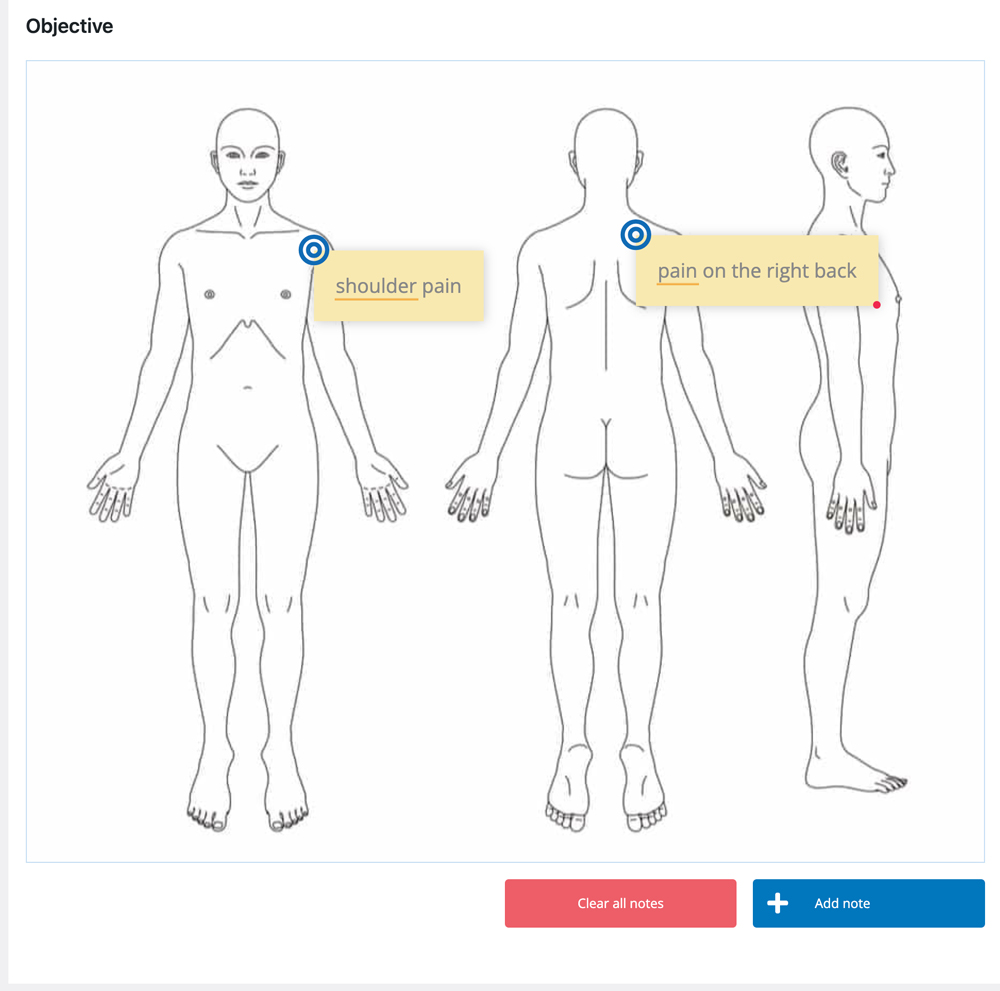 SOAP Notes - Interactive image field